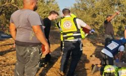 مقتل شخصين وإصابة آخرين شمال إسرائيل إثر رشقة صاروخية أطلقها "حزب الله"